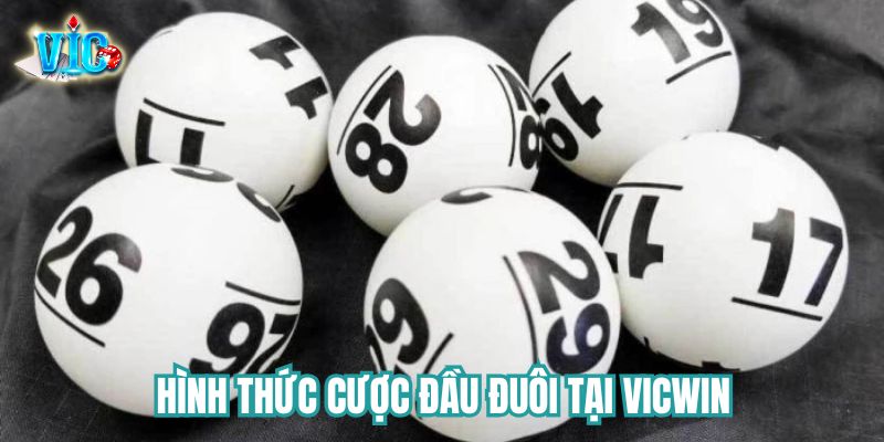 Hình thức cược đầu đuôi tại Vicwin Hình thức cược đầu đuôi tại Vicwin