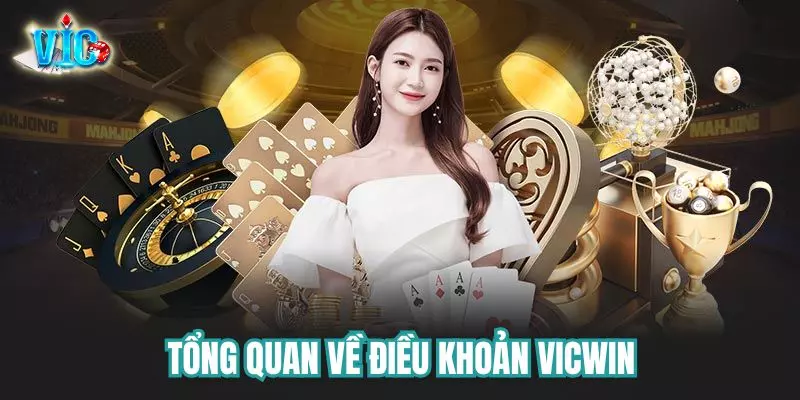 Tổng quan về điều khoản Vicwin