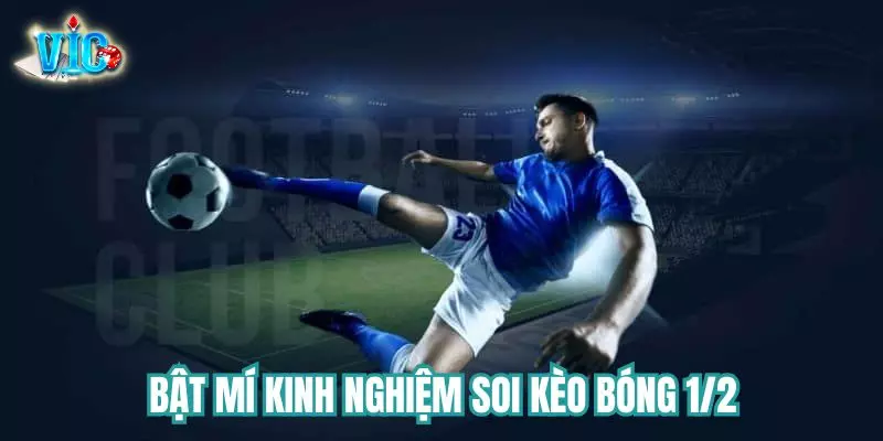 Bật mí kinh nghiệm soi kèo 1/2 cho tân thủ Bật mí kinh nghiệm soi kèo 1/2 cho tân thủ