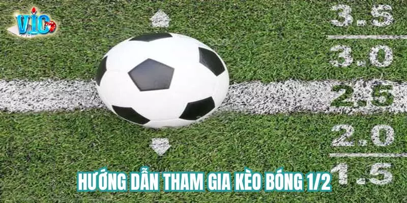 Hướng dẫn tham gia cược 1/2 tại Vicwin Hướng dẫn tham gia cược 1/2 tại Vicwin