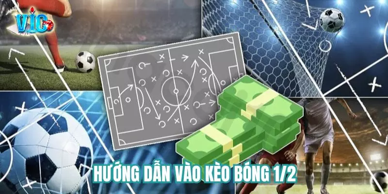 Hướng dẫn vào kèo 1/2 cực đơn giản Hướng dẫn vào kèo 1/2 cực đơn giản