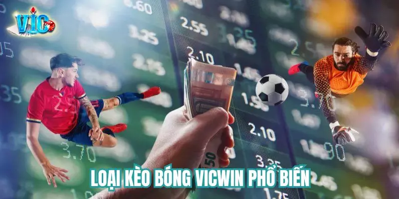 Loại cược phổ biến nhất 2024 Loại cược phổ biến nhất 2024